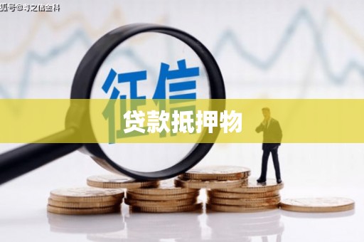 埔心贷款抵押物