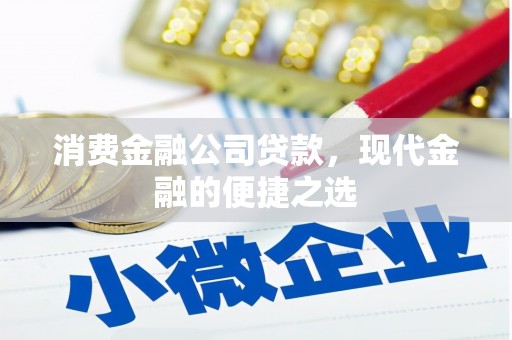 埔心消费金融公司贷款，现代金融的便捷之选