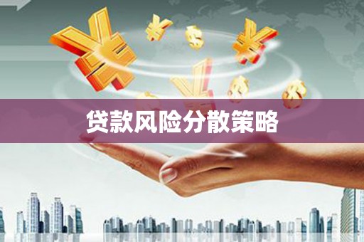 埔心贷款风险分散策略