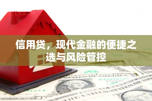 埔心信用贷，现代金融的便捷之选与风险管控