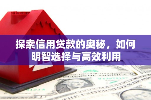 埔心探索信用贷款的奥秘，如何明智选择与高效利用