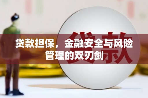 埔心贷款担保，金融安全与风险管理的双刃剑