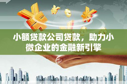 埔心小额贷款公司贷款，助力小微企业的金融新引擎