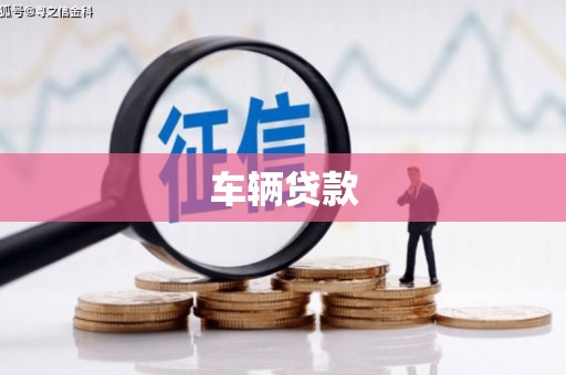 埔心车辆贷款