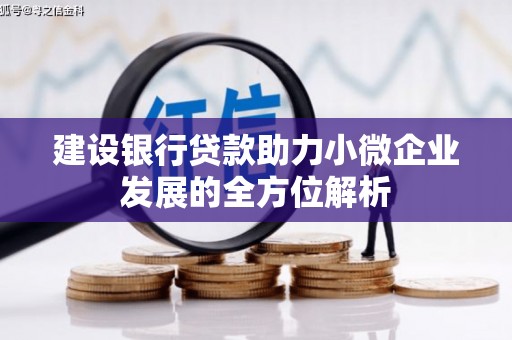 埔心建设银行贷款助力小微企业发展的全方位解析