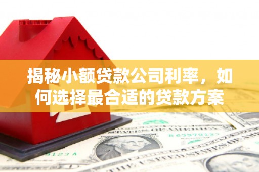 埔心揭秘小额贷款公司利率，如何选择最合适的贷款方案