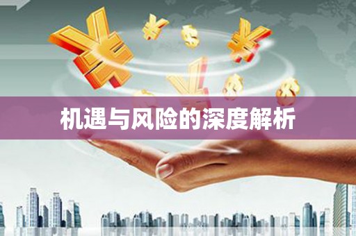 埔心机遇与风险的深度解析