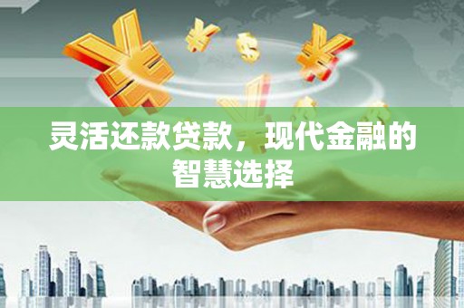 埔心灵活还款贷款，现代金融的智慧选择