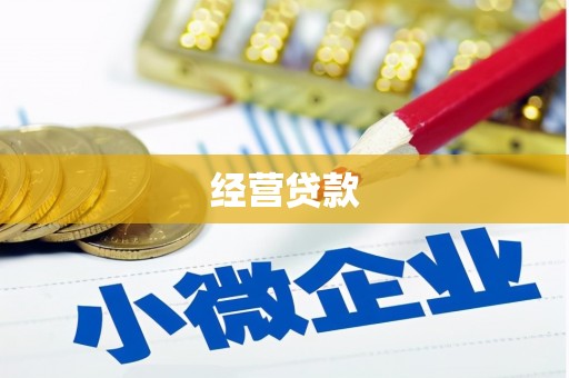 埔心经营贷款