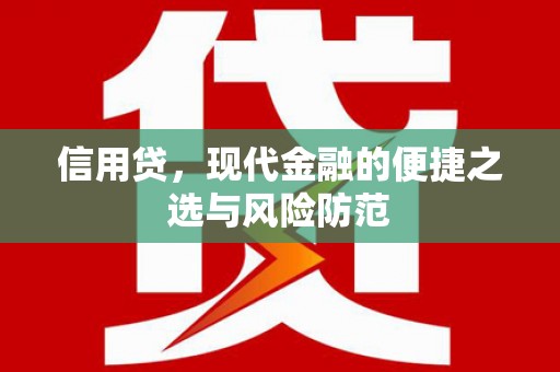 埔心信用贷，现代金融的便捷之选与风险防范