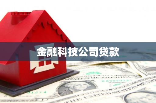 埔心金融科技公司贷款