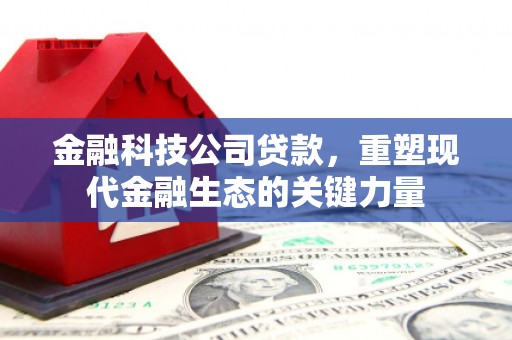埔心金融科技公司贷款，重塑现代金融生态的关键力量