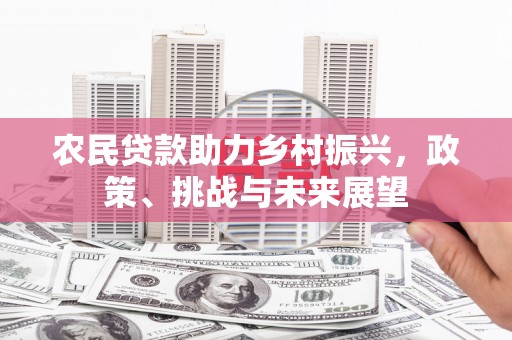 埔心农民贷款助力乡村振兴，政策、挑战与未来展望