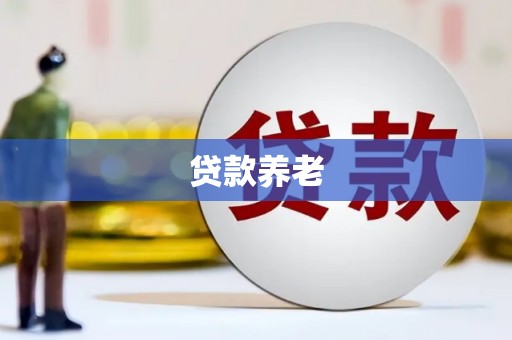 埔心贷款养老