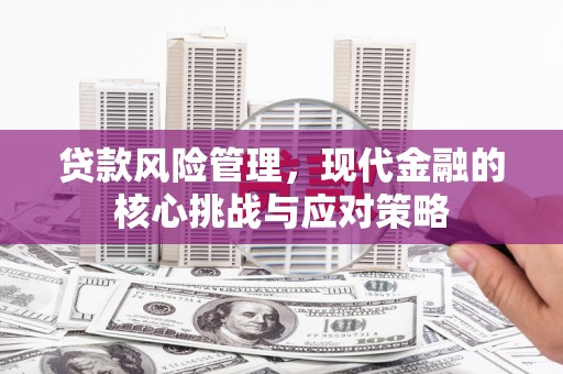 埔心贷款风险管理，现代金融的核心挑战与应对策略