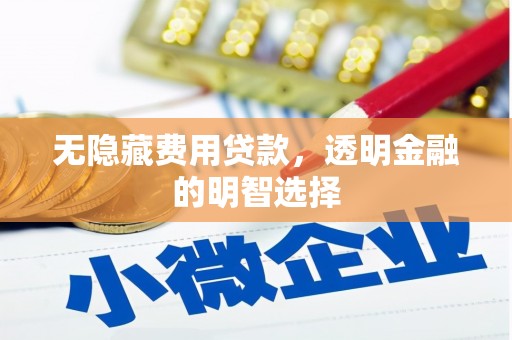 埔心无隐藏费用贷款，透明金融的明智选择