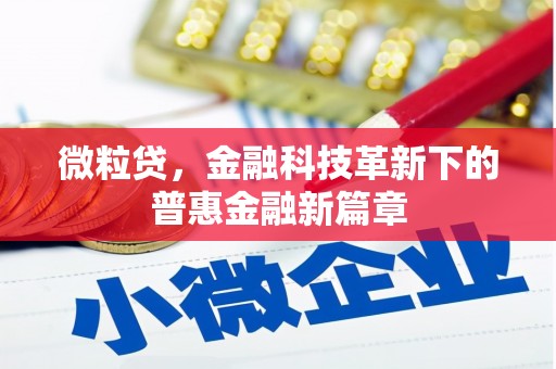 埔心微粒贷，金融科技革新下的普惠金融新篇章
