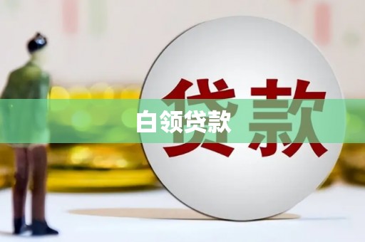 埔心白领贷款