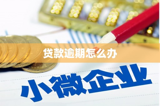 埔心贷款逾期怎么办