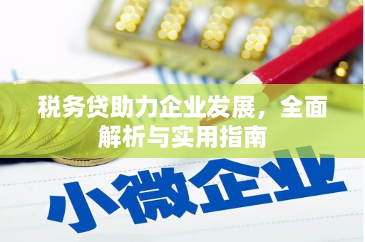 埔心税务贷助力企业发展，全面解析与实用指南