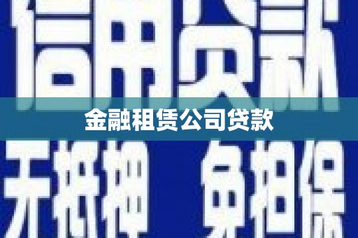 埔心金融租赁公司贷款