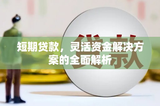埔心短期贷款，灵活资金解决方案的全面解析