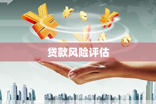 埔心贷款风险评估
