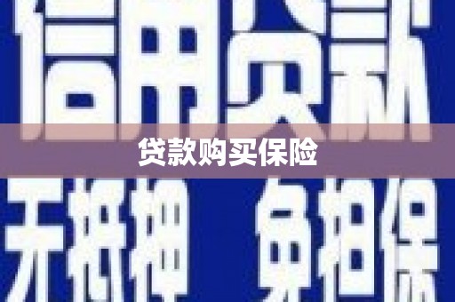 埔心贷款购买保险