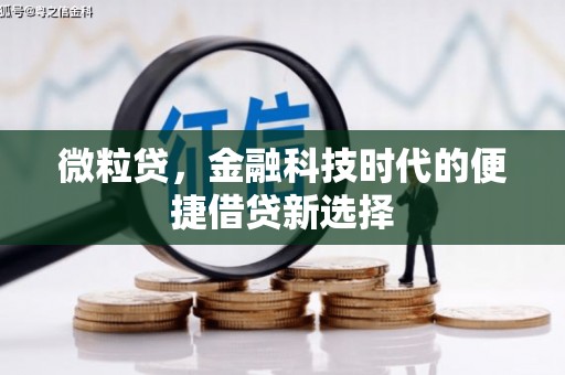 埔心微粒贷，金融科技时代的便捷借贷新选择