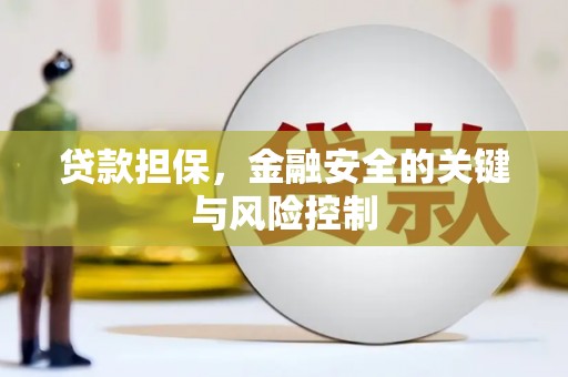 埔心贷款担保，金融安全的关键与风险控制