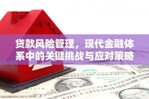 埔心贷款风险管理，现代金融体系中的关键挑战与应对策略