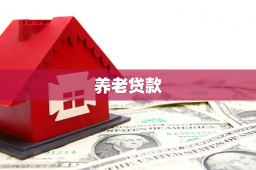 埔心养老贷款