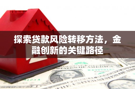 埔心探索贷款风险转移方法，金融创新的关键路径