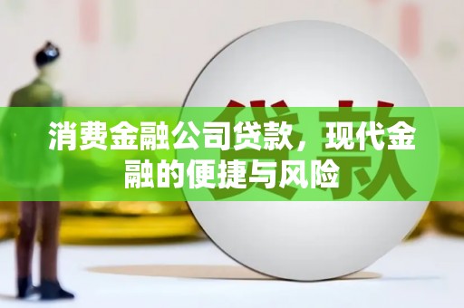 埔心消费金融公司贷款，现代金融的便捷与风险