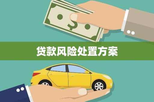 埔心贷款风险处置方案