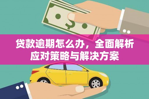 埔心贷款逾期怎么办，全面解析应对策略与解决方案