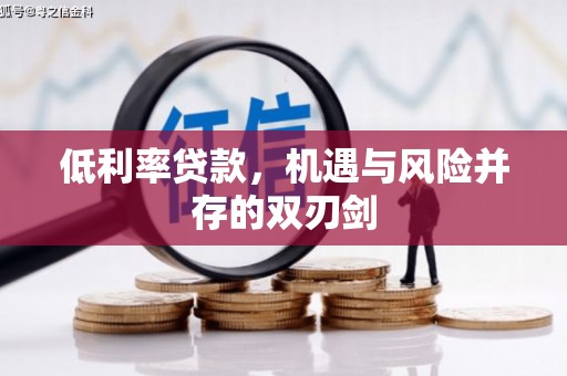 埔心低利率贷款，机遇与风险并存的双刃剑