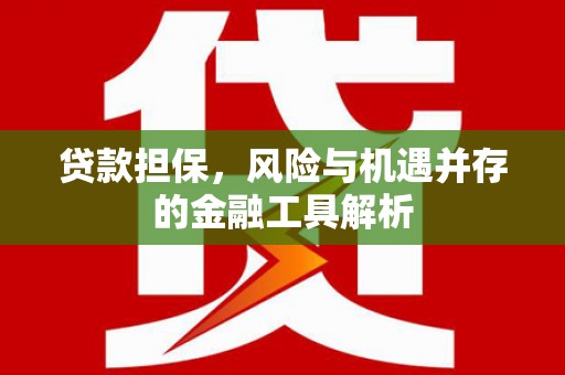 埔心贷款担保，风险与机遇并存的金融工具解析