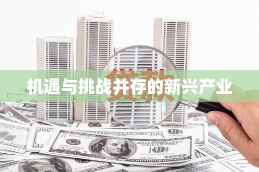 埔心机遇与挑战并存的新兴产业