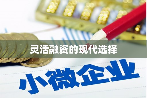 埔心灵活融资的现代选择