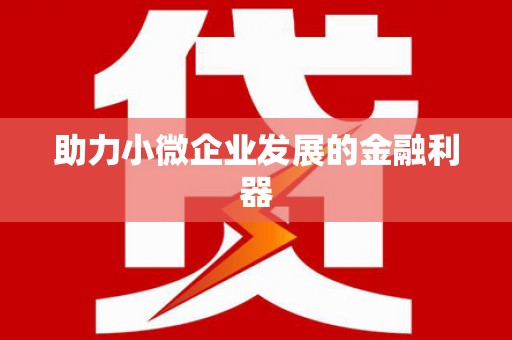 埔心助力小微企业发展的金融利器