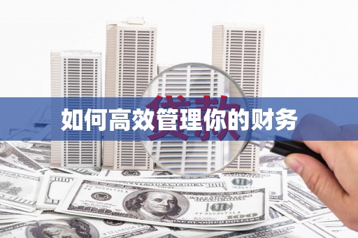 埔心如何高效管理你的财务