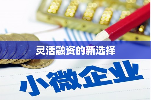 埔心灵活融资的新选择