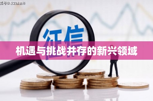 埔心机遇与挑战并存的新兴领域