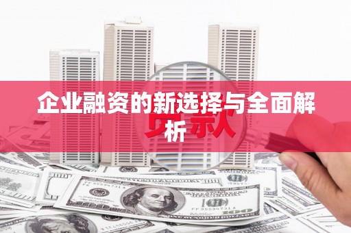 埔心企业融资的新选择与全面解析
