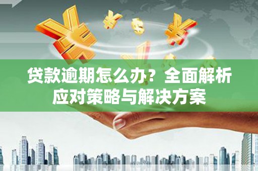 埔心贷款逾期怎么办？全面解析应对策略与解决方案