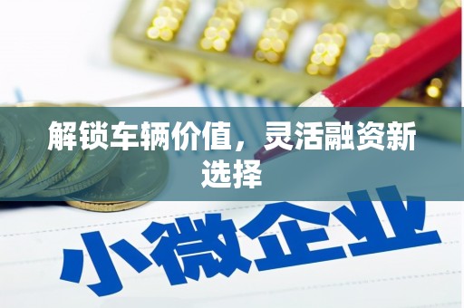 埔心解锁车辆价值，灵活融资新选择