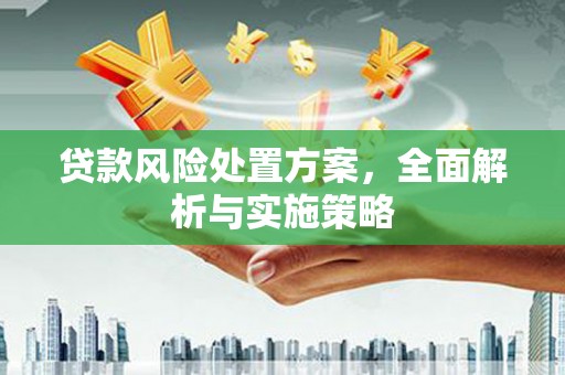 埔心贷款风险处置方案，全面解析与实施策略