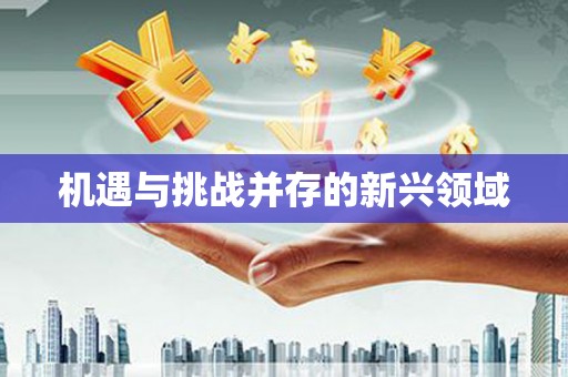 埔心机遇与挑战并存的新兴领域