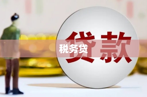 埔心税务贷